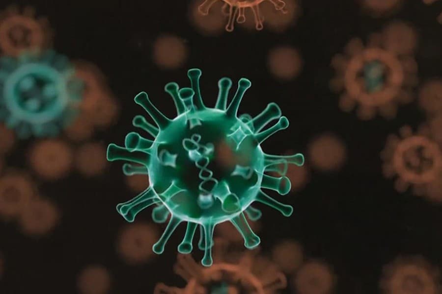 Study shows rapid rise in Omicron sub-variant in Dhaka