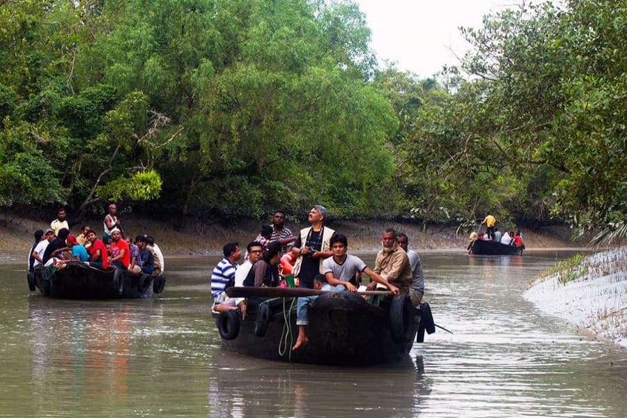 Sundarbans set to reopen for tourists on Thursday