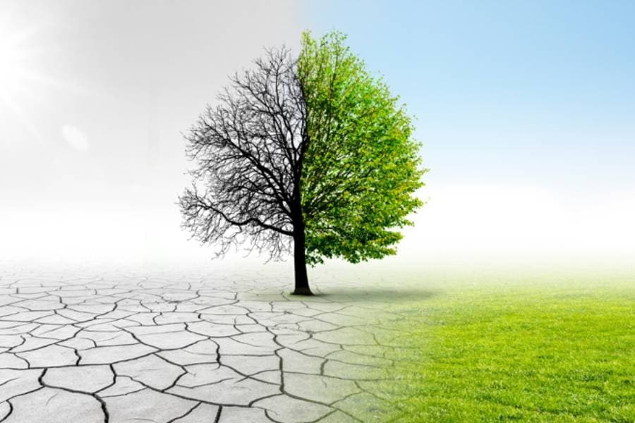 World Bank delivers record $31.7b aid in climate finance