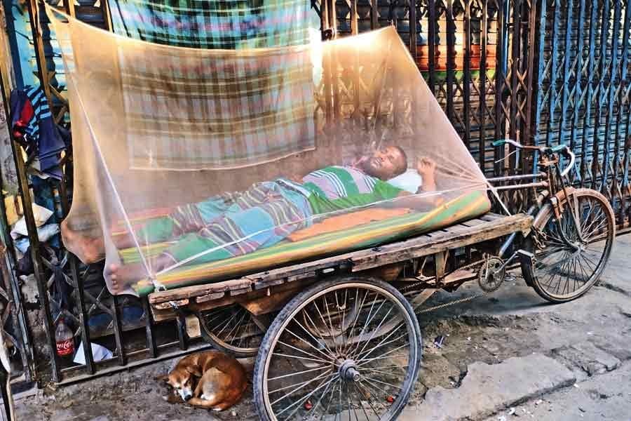 Dengue: 2022 death toll reaches 63 as two deaths reported in 24 hours