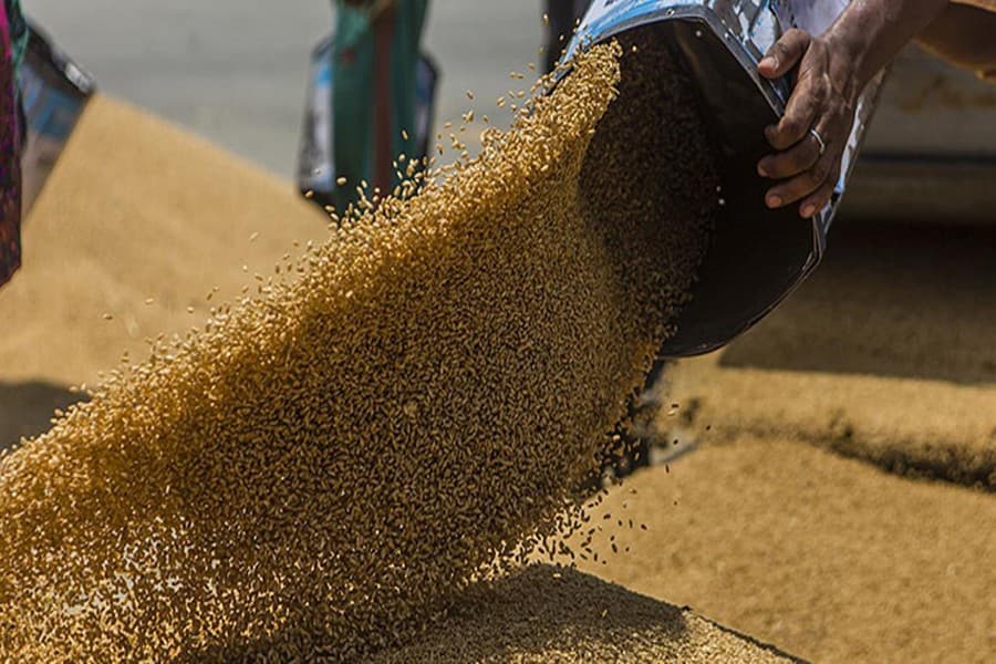 Q1 sees sharp fall in wheat import
