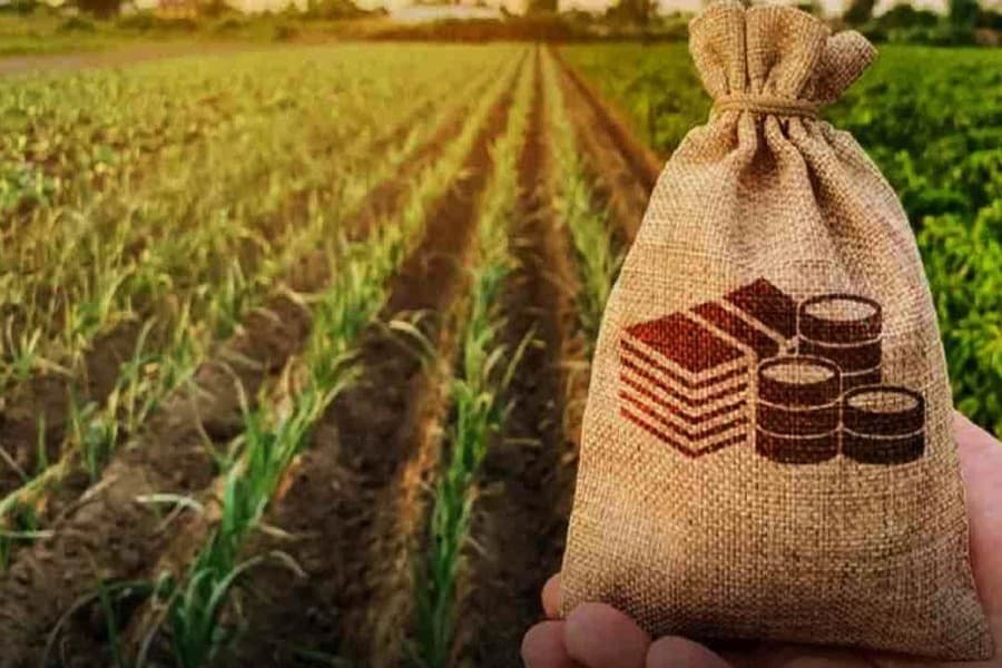 Standing by farmers with credit support