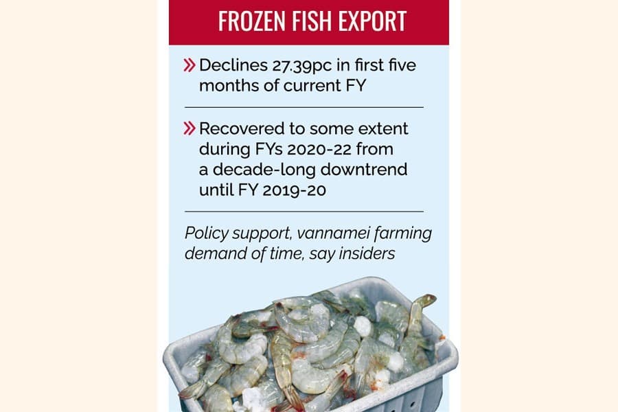 No comforting prospect for frozen fish export