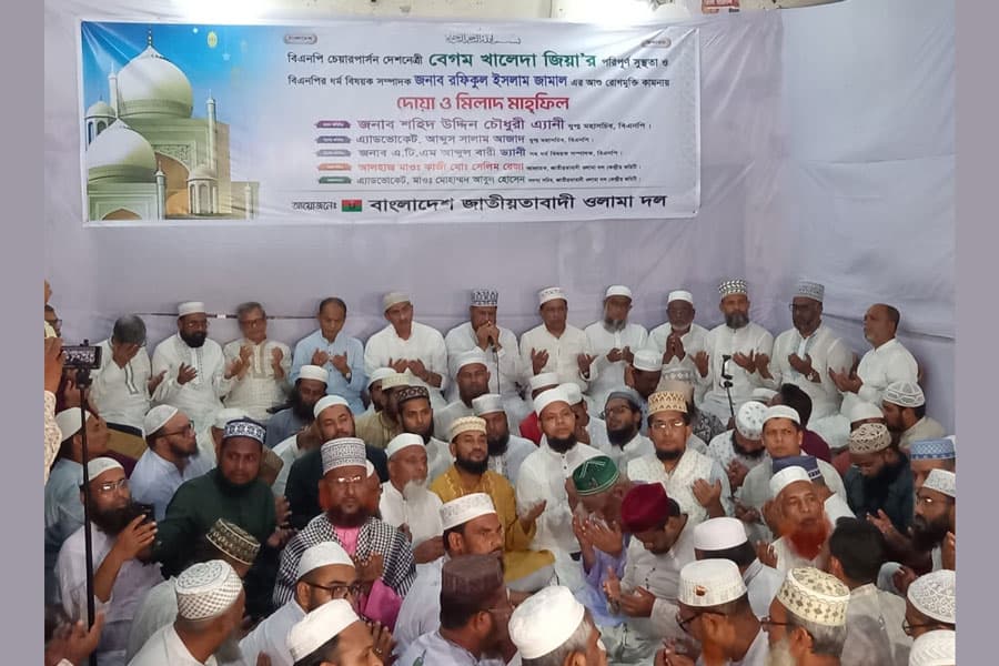 BNP leader Anne urges unity, downplays debate over Yunus-Tarique meeting