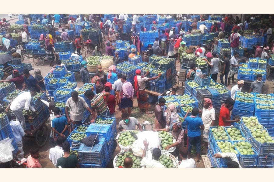 Baneshwar brims with mango mania during peak season