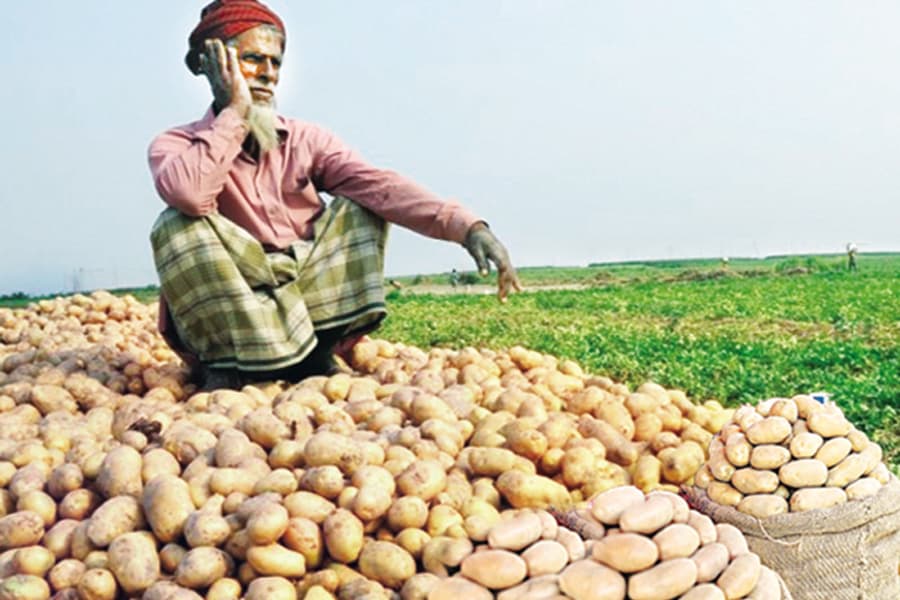 In the absence of a pro-farmer policy