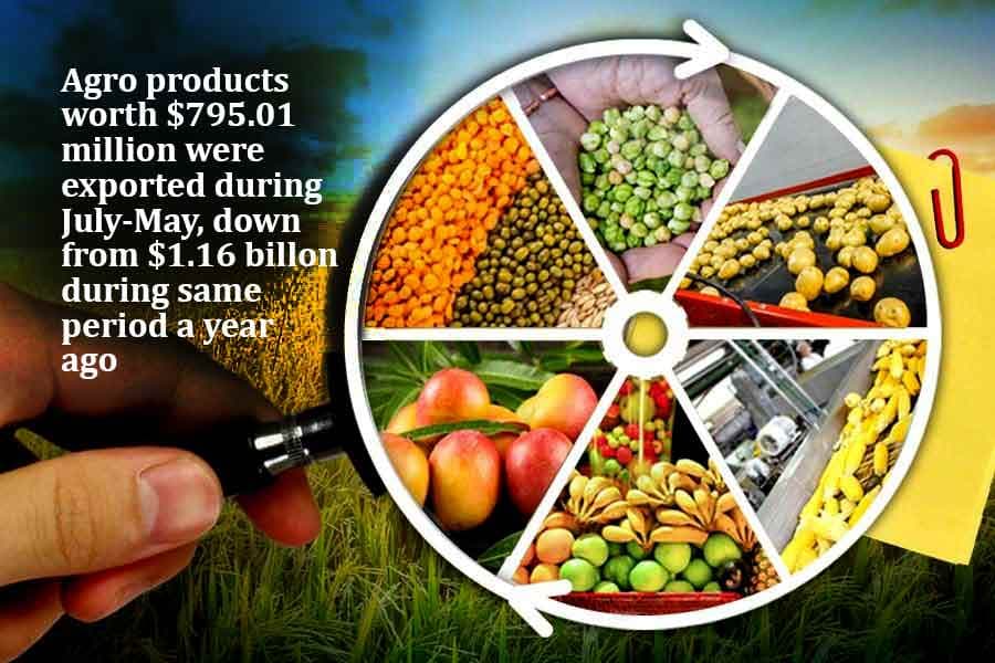 Agro products export makes significant fall