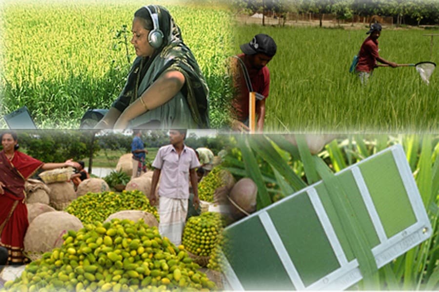 Need for a unified agro-processing regulatory body
