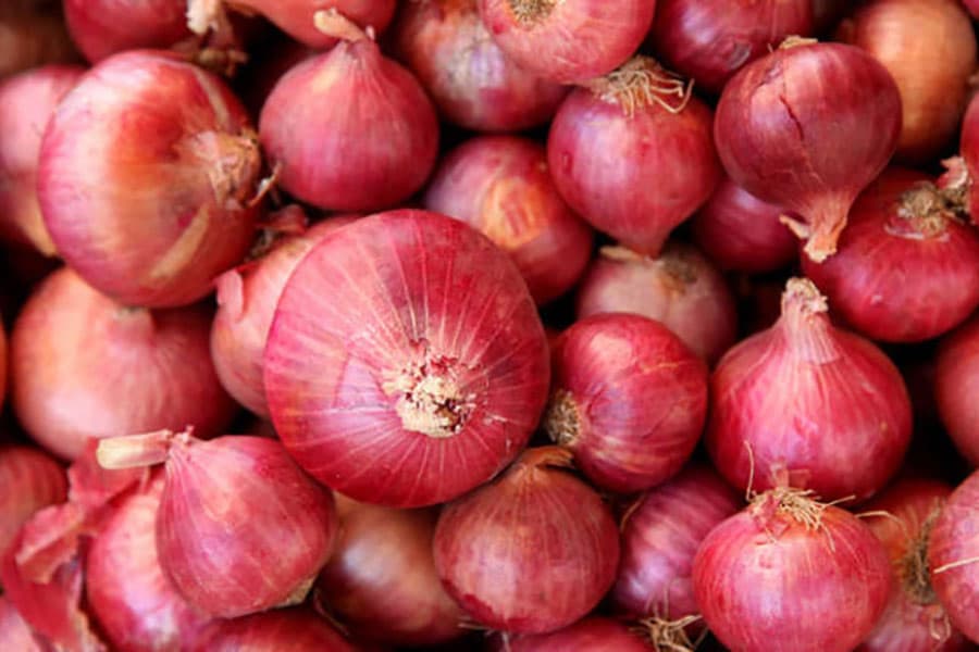 Lack of food irradiation facilities fuels onion price swings