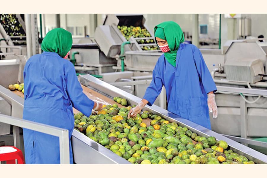 Agro-processing calls for strategic push