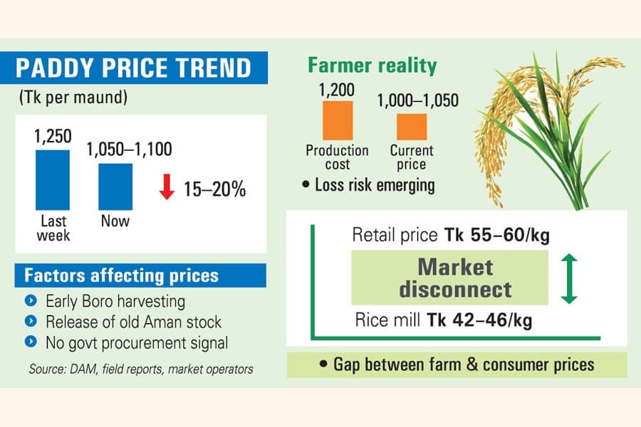 Paddy prices slide ahead of Boro harvest