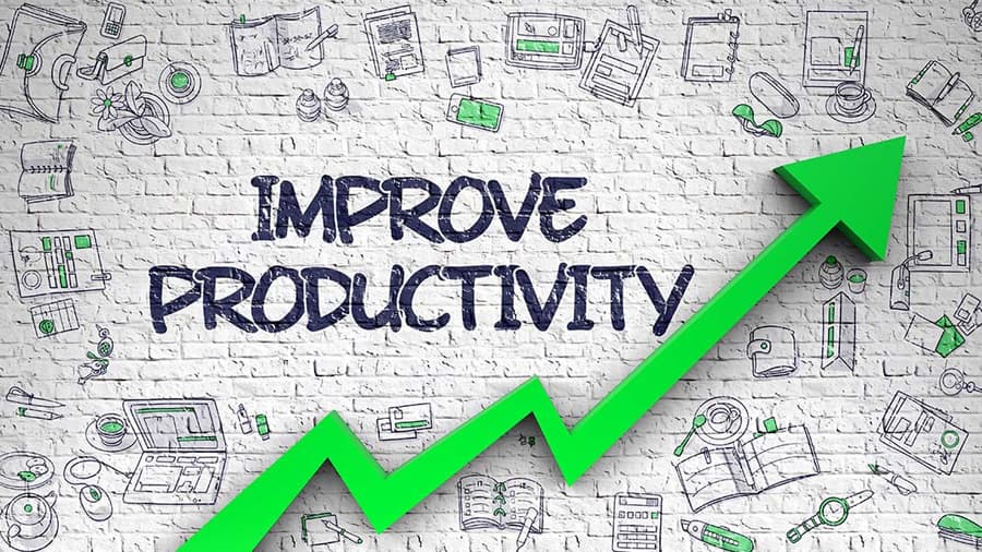 Productivity and growth model paradox