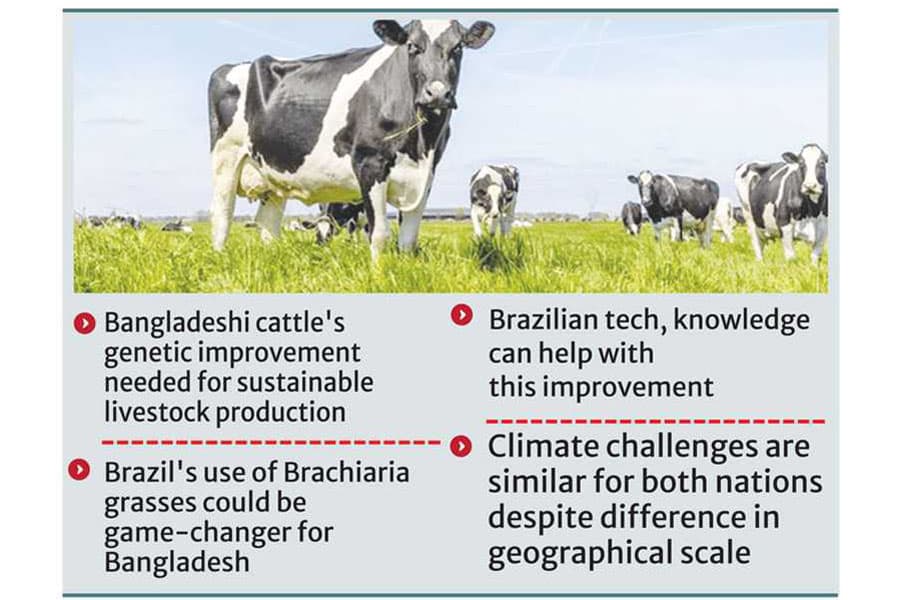 Brazil's success story offers blueprint for BD