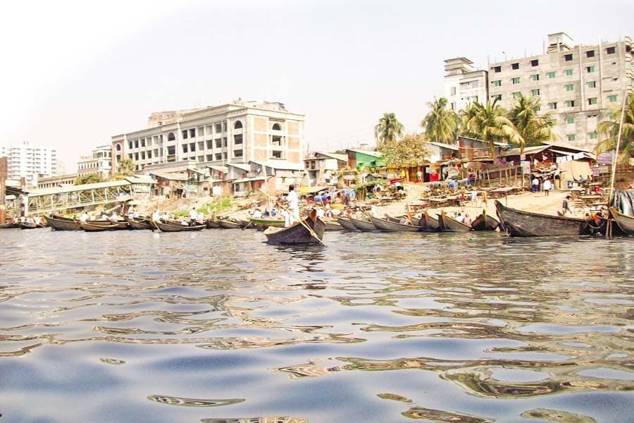 Can Dhaka regain its lost biodiversity before it's too late?