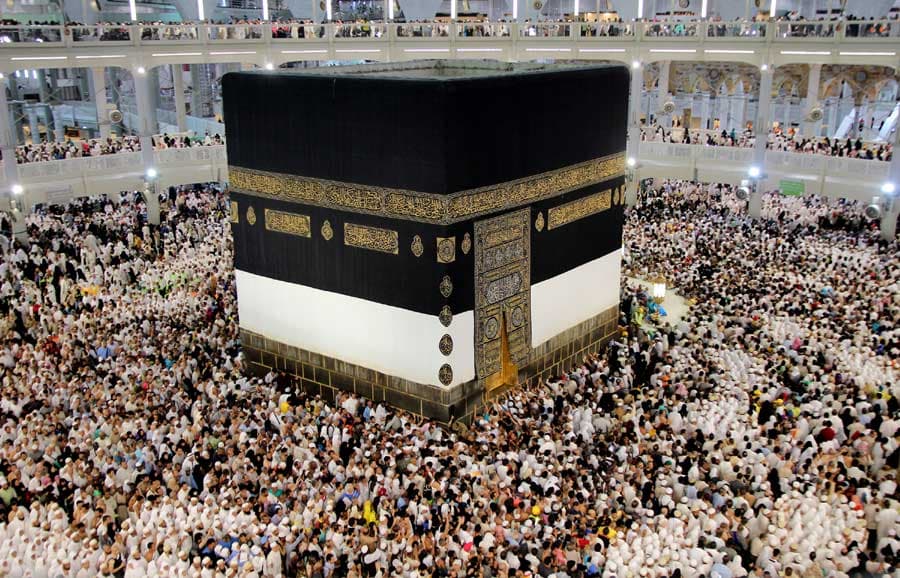 50,111 BD pilgrims reach Saudi Arabia for Hajj