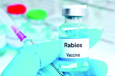 Dog bites kill five amid anti-rabies vaccine shortage in Gaibandha's hospitals