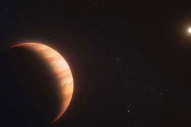 Astronomers scrutinise exoplanet that survived the death of its star