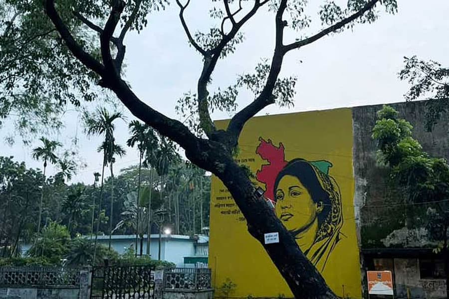 2,200 trees at risk on Dhaka University campus