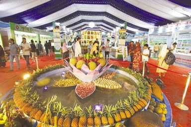 BD's fruit boom & processing revolution