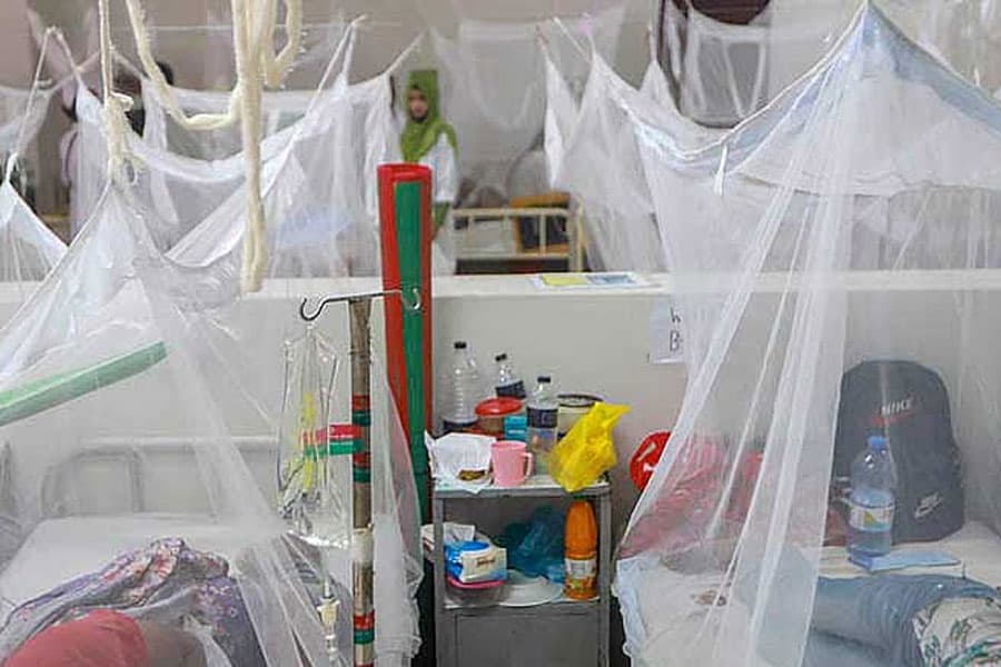 Dengue admissions top 10,000