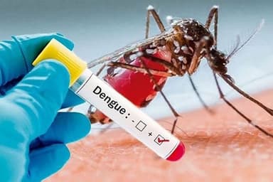 3 more die of dengue, 372 hospitalised