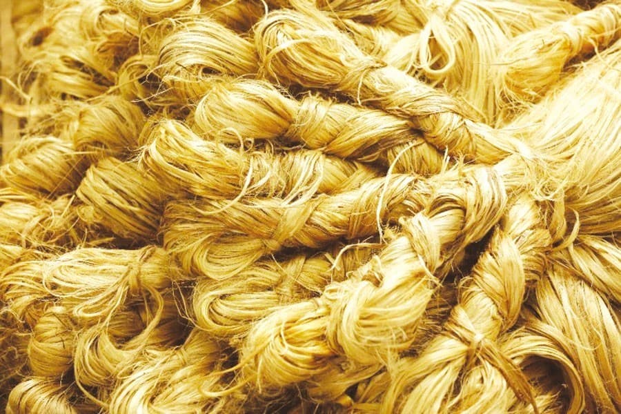 Ban export of jute silver: BJA