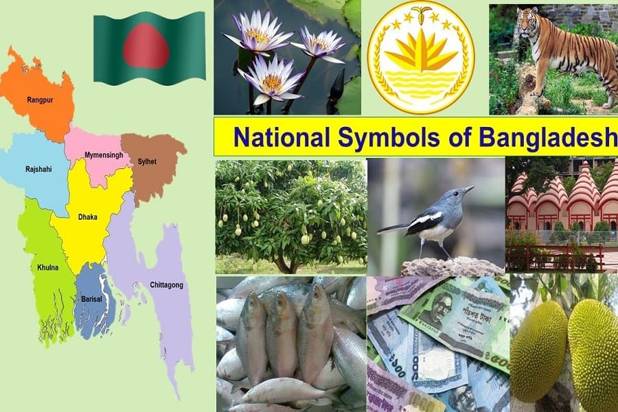 How national symbols are determined