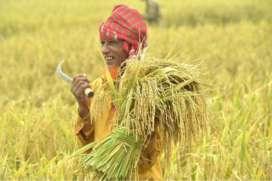 Agriculture remains the vanguard