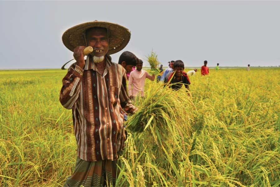 Crop insurance: it's long overdue