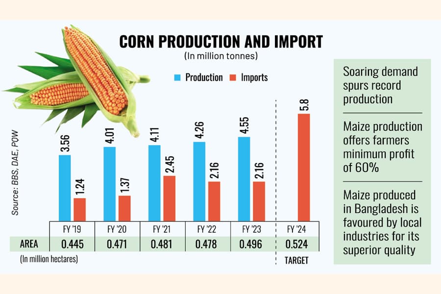 BD targets ambitious 5.81m tonne maize output after record yield