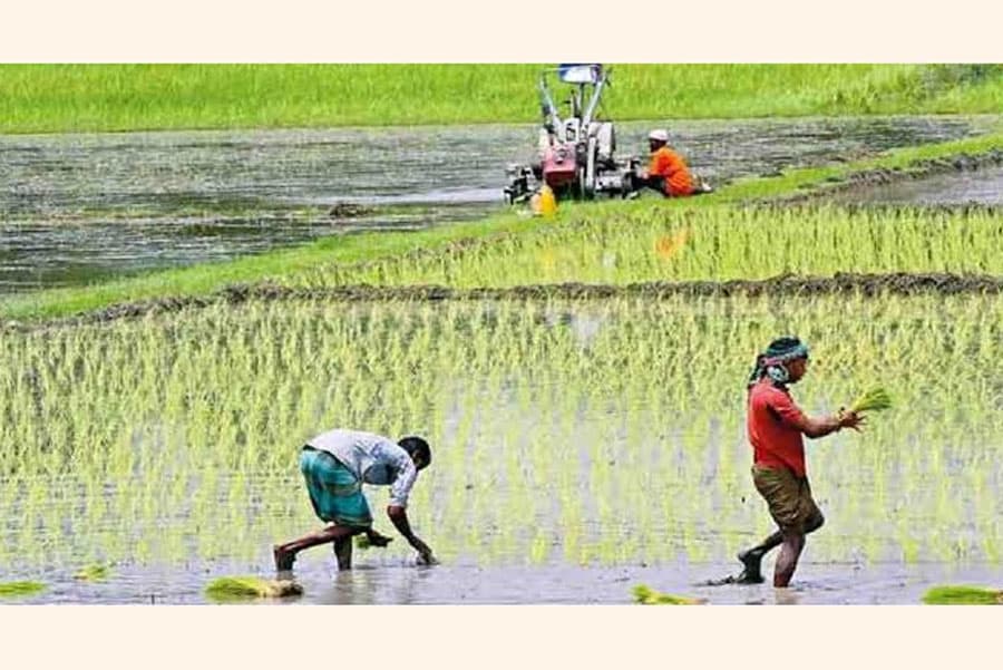 Global actors pledge to collaborate on transformation of Bangladesh agriculture