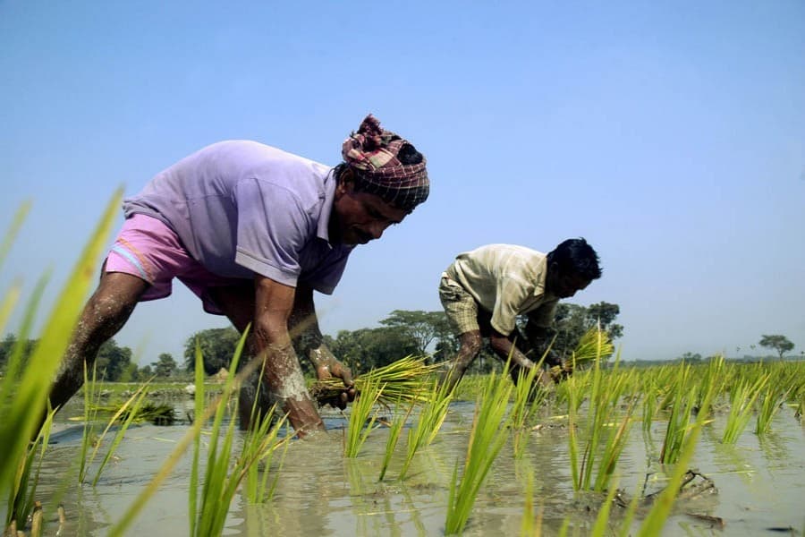 Prioritising agriculture for national benefit