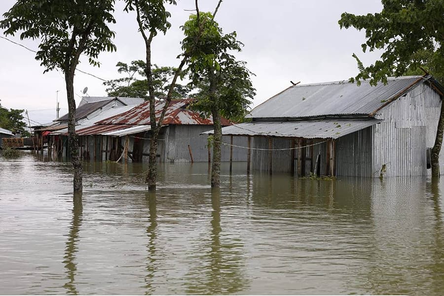 Urgent assistance needed for flood-hit people to restart life