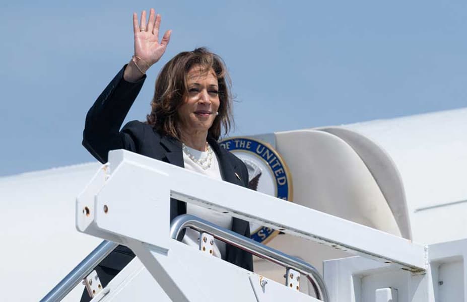 Kamala Harris campaign hires Egyptian American lawyer for Arab voter outreach