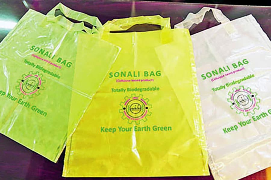 Govt must finance and promote Sonali bag