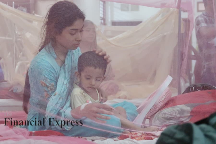 Dengue: Over 400 cases in 6 weeks in Meherpur