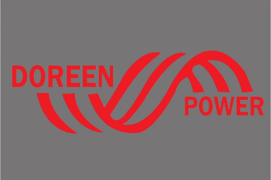 Doreen Power to sell another plant