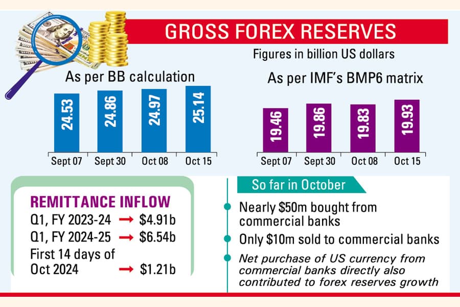 Gross forex reserves cross $25b in steady rebound