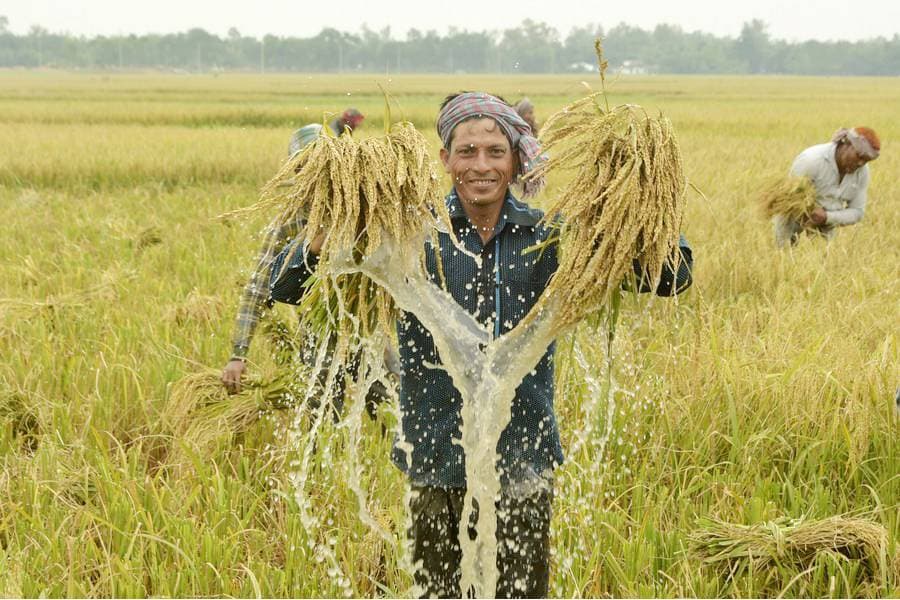 Putting farmers' lives on the line