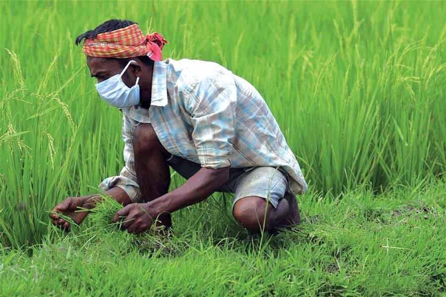 Boosting farm produce export