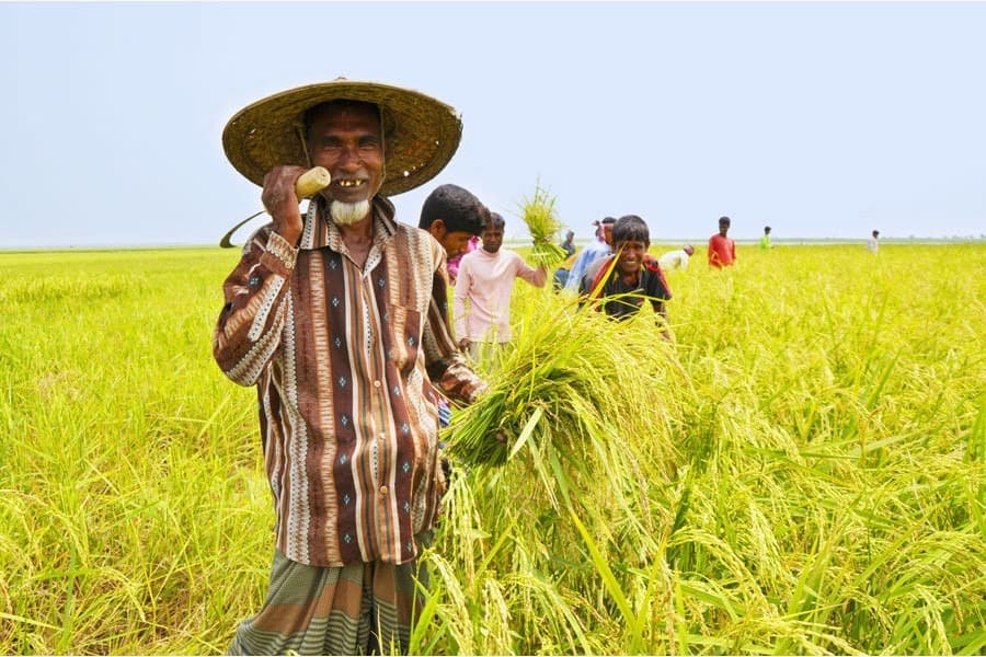 Helping farmers store surplus crops