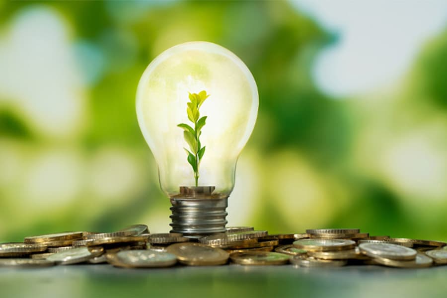 Efficient use key to energy security