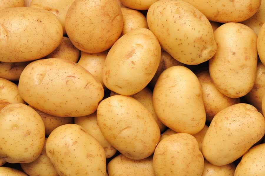Unlocking the potential of potato export