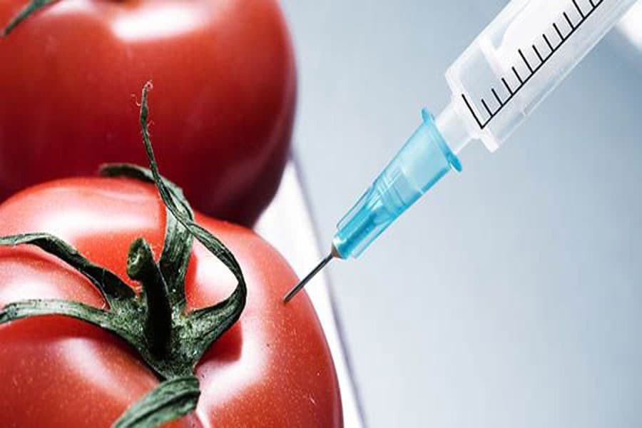 Stop food adulteration and save lives
