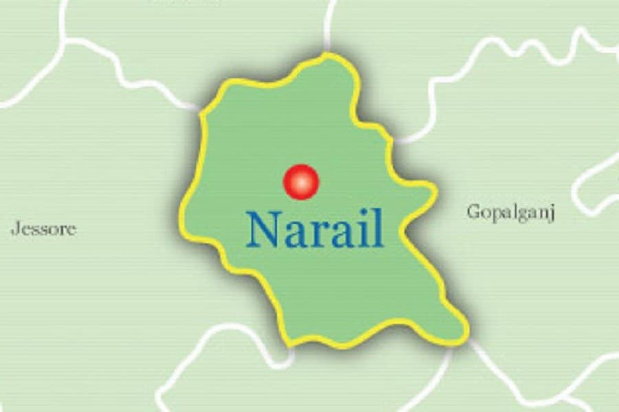 26 injured as bus falls into ditch in Narail