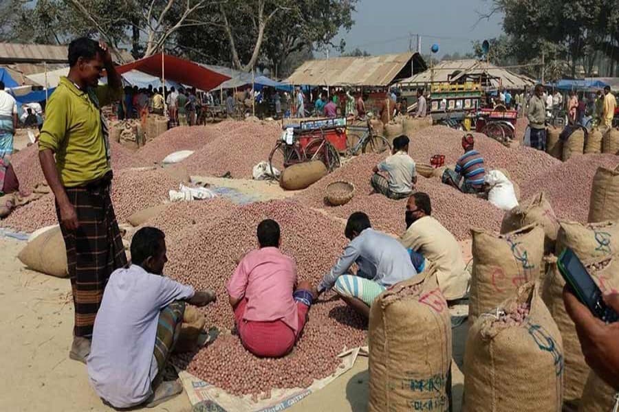 Low market prices dishearten Joypurhat potato growers