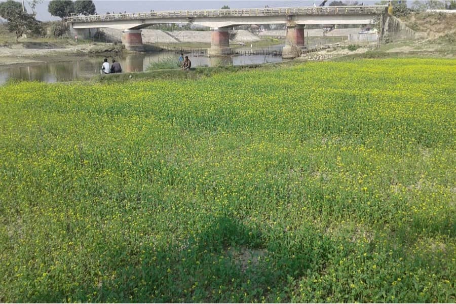 Ghaghot river dries up due to lack of dredging