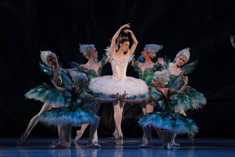 Hungry rat sparks blackout at Australian ballet