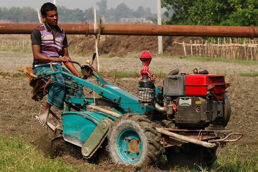 Agricultural growth rate drops in FY 2019