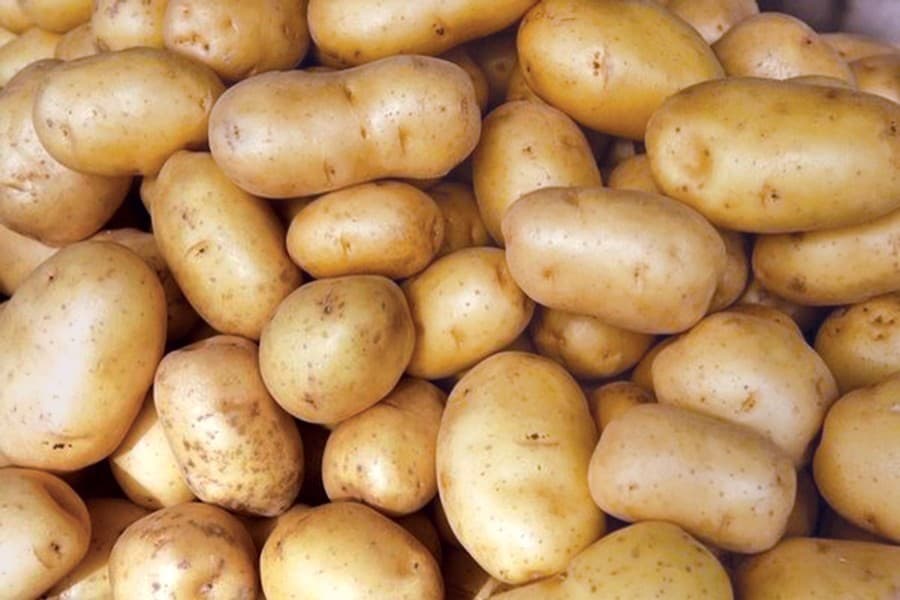Potato centre